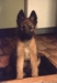 8weeks